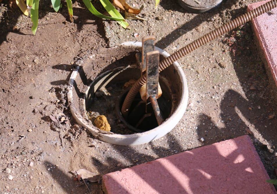drain-snake